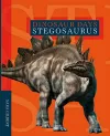 Dinosaur Days: Stegosaurus cover