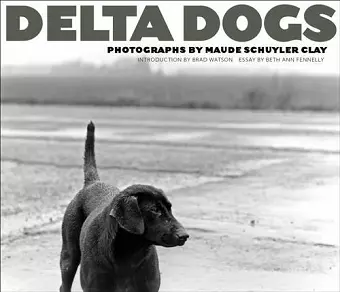 Delta Dogs cover