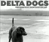 Delta Dogs cover