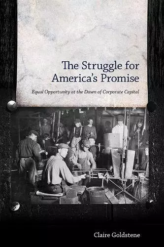 The Struggle for America's Promise cover