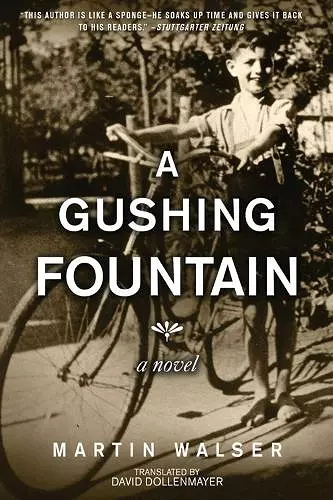 A Gushing Fountain cover