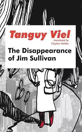 The Disappearance of Jim Sullivan cover