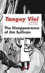 The Disappearance of Jim Sullivan cover