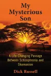 My Mysterious Son cover