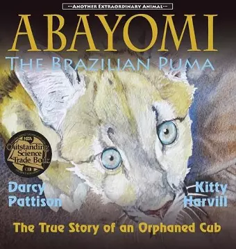 Abayomi, the Brazilian Puma cover