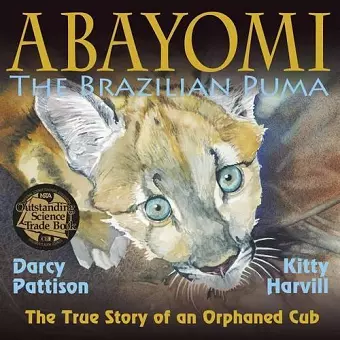 Abayomi, the Brazilian Puma cover