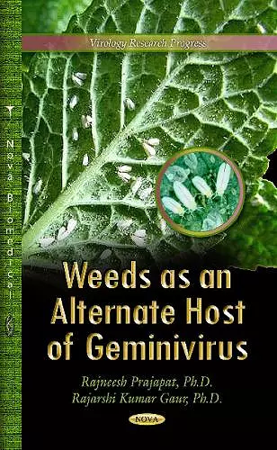 Weeds as an Alternate Host of Geminivirus cover