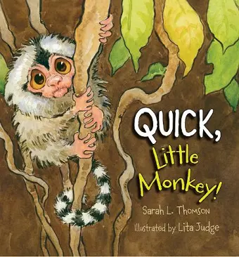 Quick, Little Monkey! cover