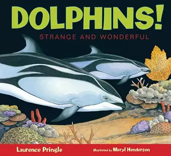 Dolphins! cover