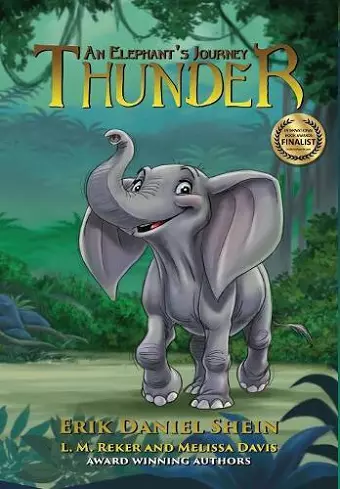 Thunder cover