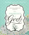 MEV Promises of God Creative Journaling Bible cover