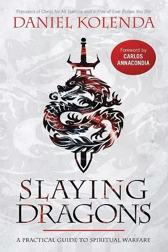 Slaying Dragons cover