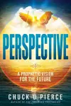 Perspective cover