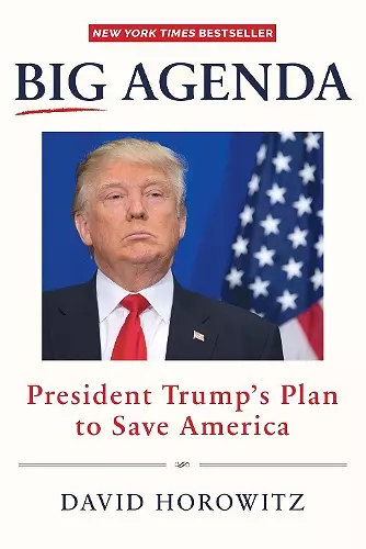 BIG AGENDA cover