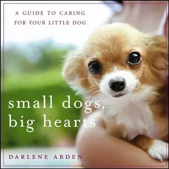 Small Dogs, Big Hearts cover