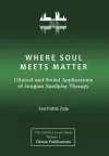 Where Soul Meets Matter cover