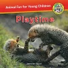 Playtime cover