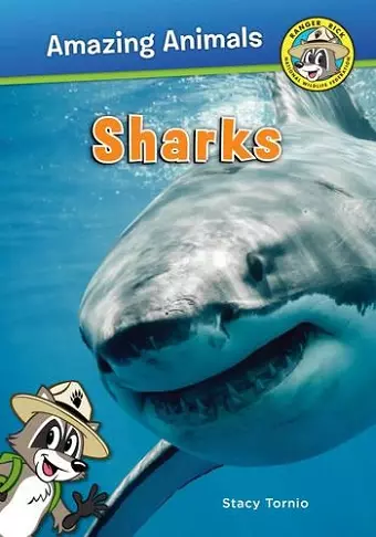 Sharks cover