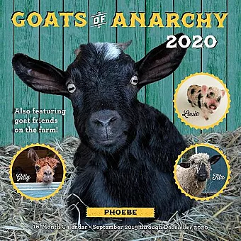 Goats of Anarchy 2020 cover
