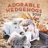 Adorable Hedgehogs 2022 cover