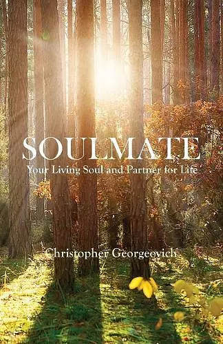 Soulmate cover