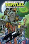 Teenage Mutant Ninja Turtles: New Animated Adventures Volume 4 cover