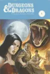 Dungeons & Dragons: Forgotten Realms Omnibus cover