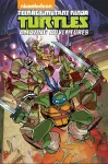 Teenage Mutant Ninja Turtles: Amazing Adventures Volume 1 cover