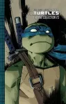 Teenage Mutant Ninja Turtles: The IDW Collection Volume 3 cover