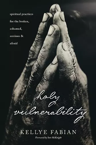 Holy Vulnerability cover