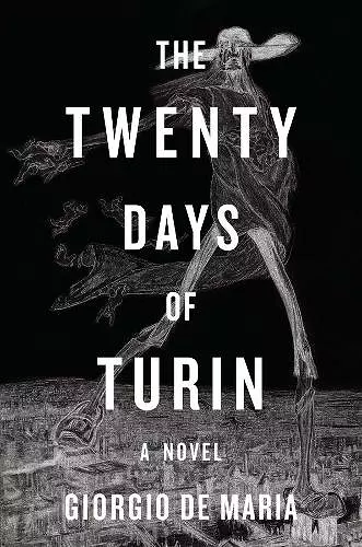 The Twenty Days of Turin cover