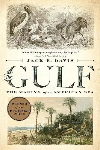 The Gulf cover