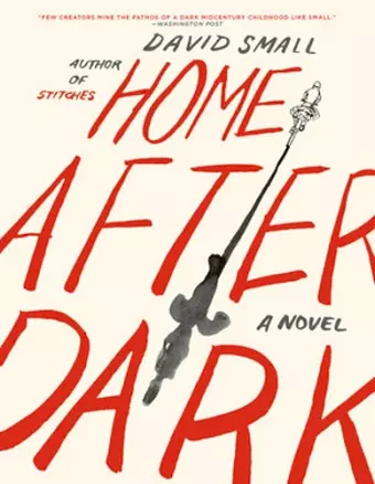 Home After Dark cover