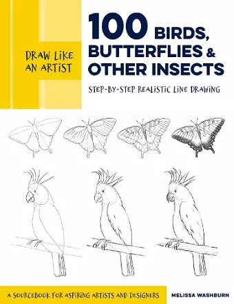 Draw Like an Artist: 100 Birds, Butterflies, and Other Insects cover