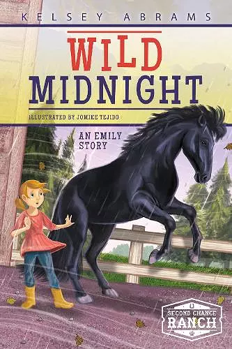 Wild Midnight cover