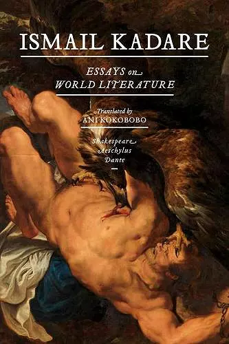 Essays On World Literature cover