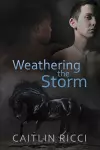 Weathering the Storm Volume 1 cover