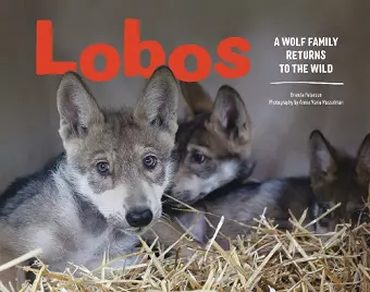 Lobos cover