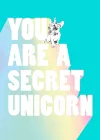 You Are a Secret Unicorn cover