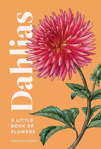 Dahlias cover