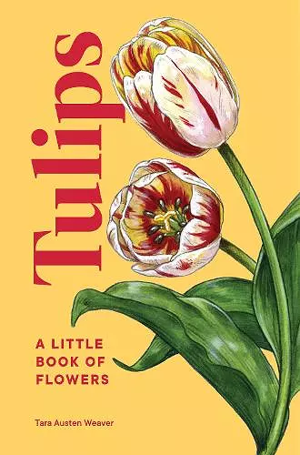 Tulips cover