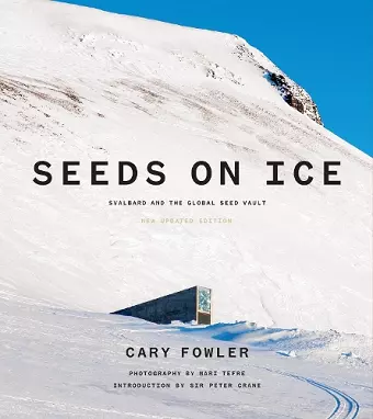 Seeds on Ice cover