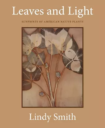 Leaves and Light cover