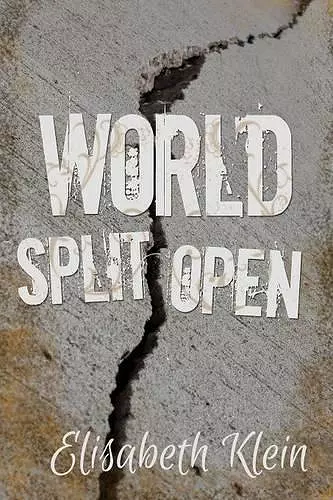 World Split Open cover