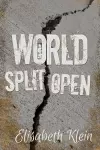 World Split Open cover