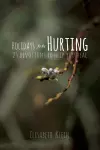 Holidays for the Hurting cover