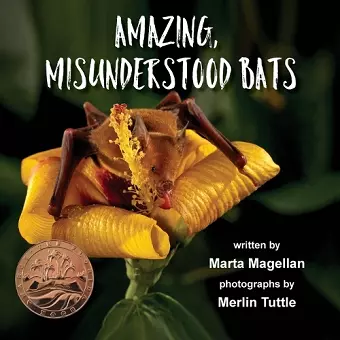 Amazing, Misunderstood Bats cover