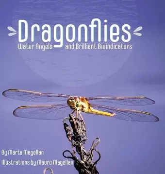 Dragonflies cover