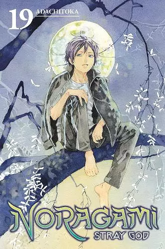 Noragami: Stray God 19 cover