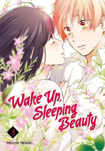 Wake Up, Sleeping Beauty 3 cover